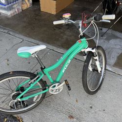 Bike For Anyone! 20” Fuji With Donut Bell