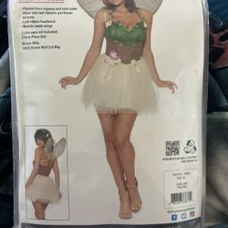 Fairy costume