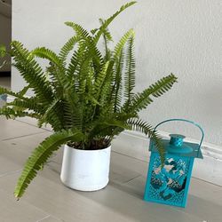 Candle Holder And Boston Ferns Plants Both $10
