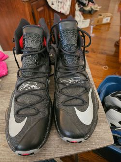 Mens shoes Niki  lebrons
