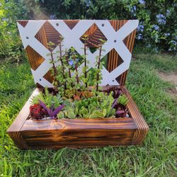 Small Vine Planter 
