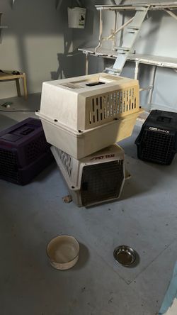 Dog/cat kennels or crates