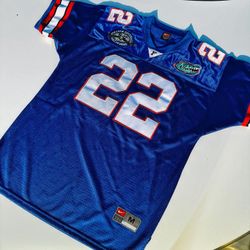 Nike Hall Of Fame Edition Florida Gators Emmitt Smith Jersey