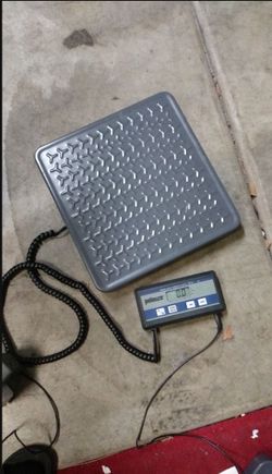 Scale For Small Business