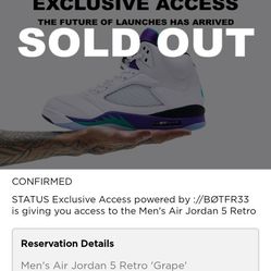 Air Jordan Grape 5s Size 8