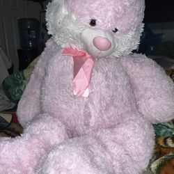 Pink Stuffed Animal.