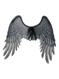 Adult Wings Costume Accessory Black and Gray