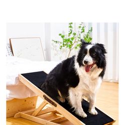 Dog Ramp
