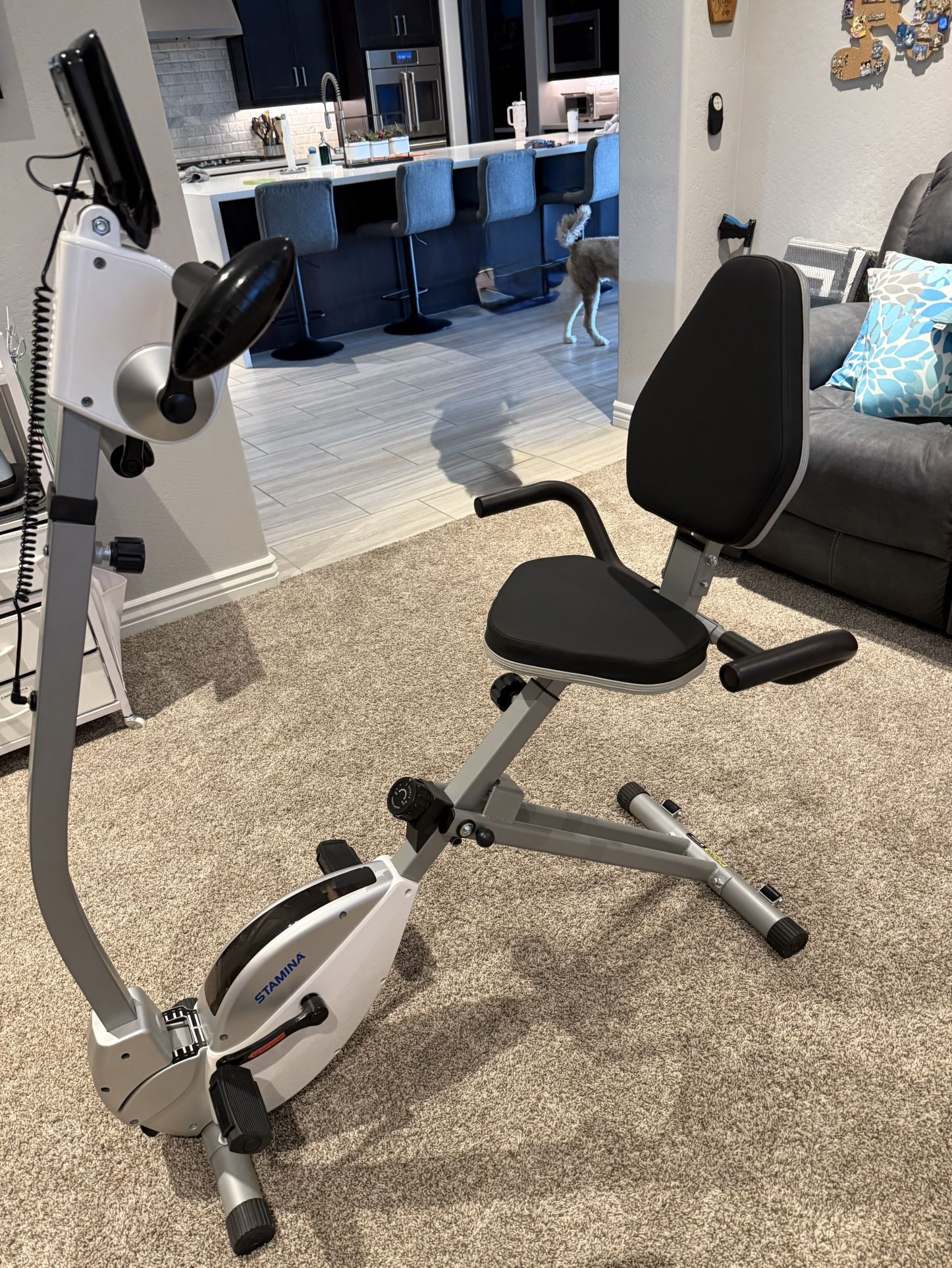 Recumbent Exercise Bike with Upper Body Exerciser like new