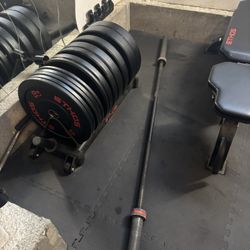 Gym Equipment - Olympic Bar with 325lbs and landmine setup