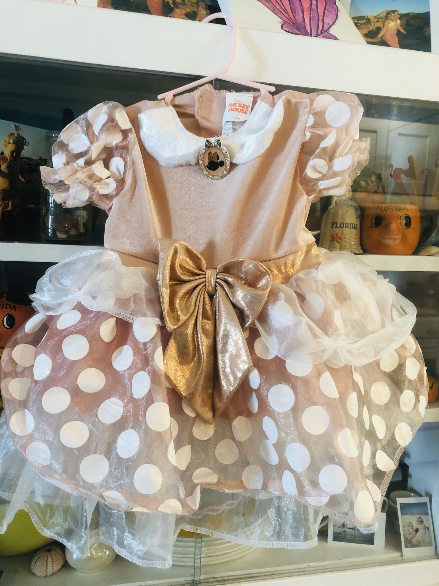 Pink Minnie Mouse Disney princess dress 2T toddler girl baby costume Halloween