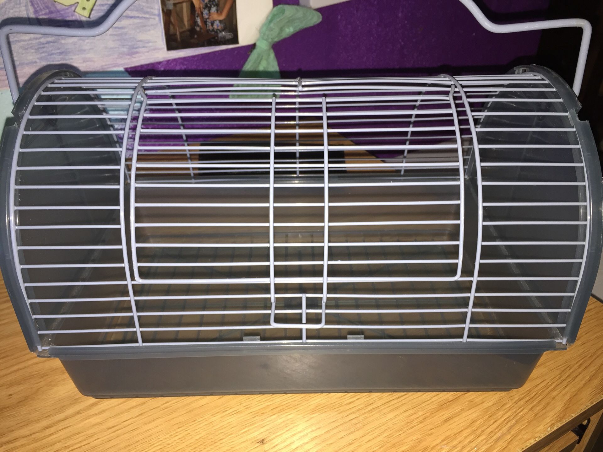 Hamster to go cage