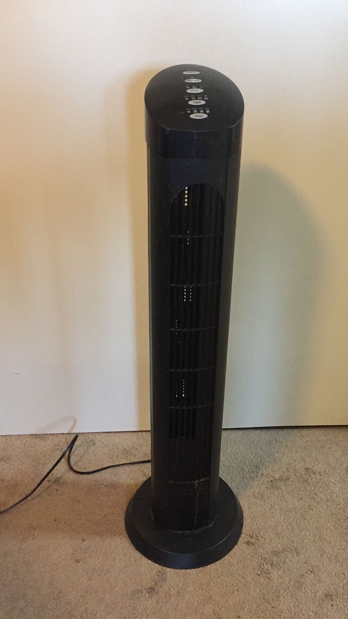 Oscillate Tower Fan With Remote (doesn’t Turn Around)