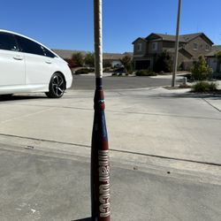31” Marucci Cat 9