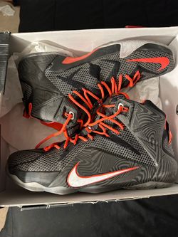 Lebron 12 court vision