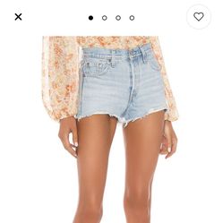 Levi’s 501 Original Short in Luxor Heat