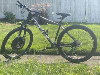 Schwinn Custom Mountain Electric Bike