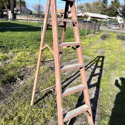 6’ Fiberglass Step Ladder 