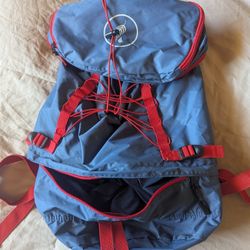 30L Packable Ultralight Backpack Day Bag Pack Hiking Travel Camping Sack Daypack REI Gregory Marmot Osprey Columbia Patagonia North Face Golite Msr 