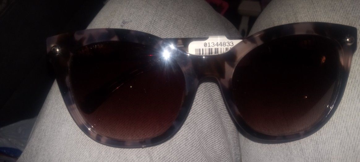 Longchamps Turtle Brand New Sunglasses