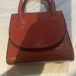 Handbag (not Free)