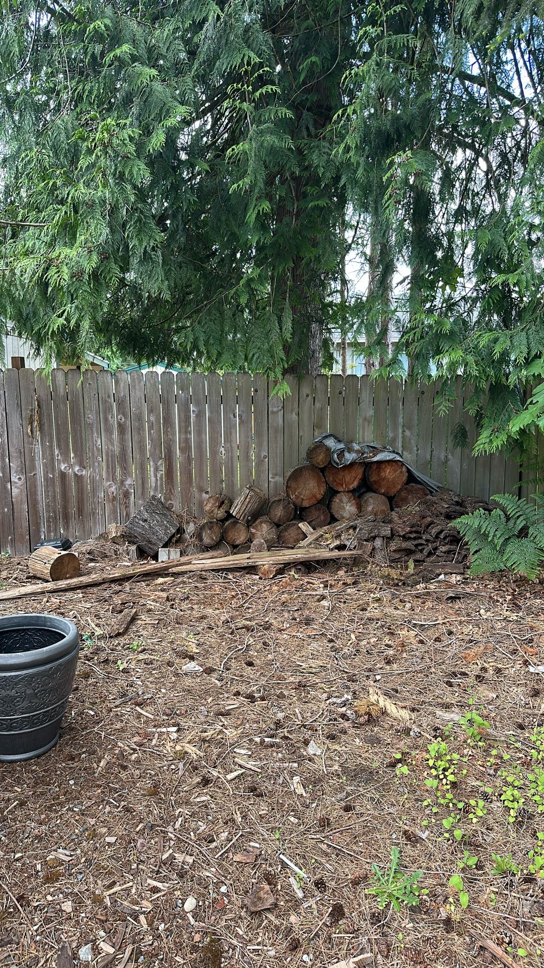 Free Firewood