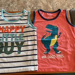 Toddler Shirt 2t