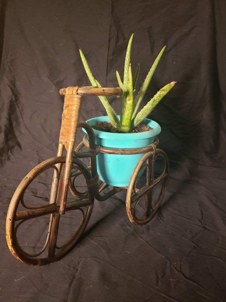 Vintage Bamboo Bicycle Planter