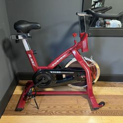 Bladez GS II Indoor Bike