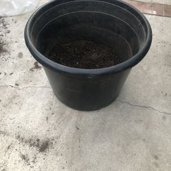 Big Plant Pot With Soil 