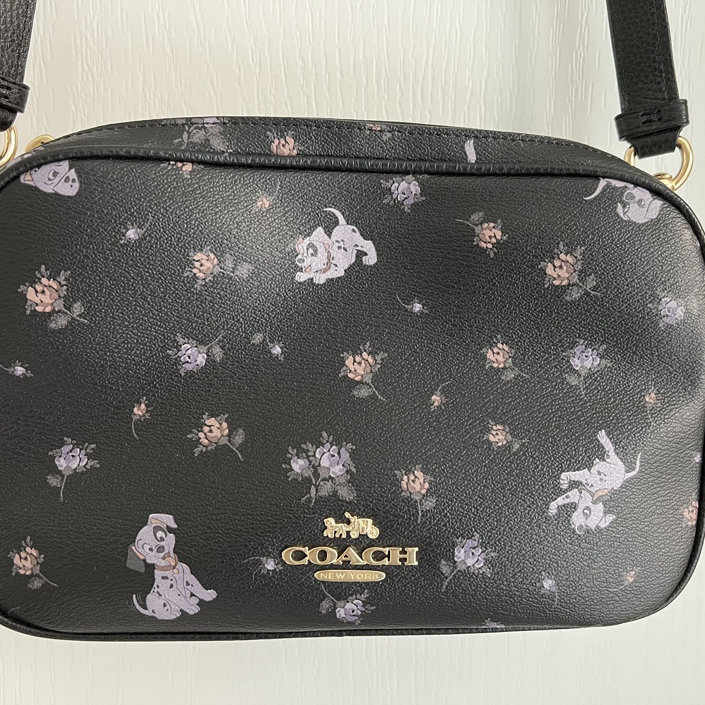 Coach x Disney Villains for Sale in Los Angeles, CA - OfferUp