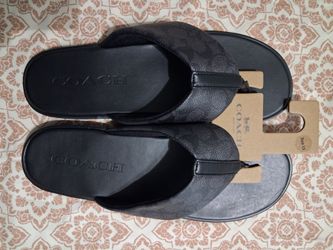 Coach slides