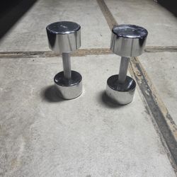 Hand Weight Stainless Steal 20 Pounds