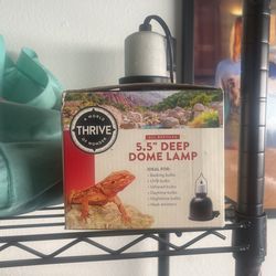 Dome Lamp Reptiles