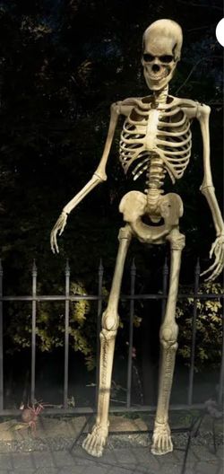 Large Full-Body Skeleton Halloween Decoration
