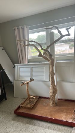 Java tree