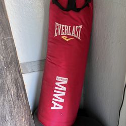 Everlast Heavy Bag