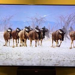 Samsung 65” TV QN65Q900RBFXZA