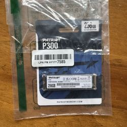 Patriot P300 256GB M.2 Nvme Ssd