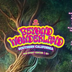 Beyond Wristband vip Trade 