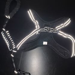 Dog Harness And Leash 