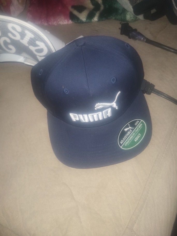 Adult Blue Puma Hats  $20 Per Hat