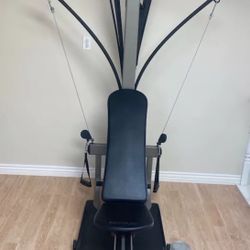 Bowflex Ultimate Home Gym (older model)