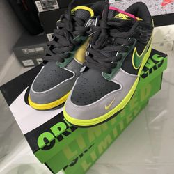 Nike Dunks Oregon Size 10.5 DS 