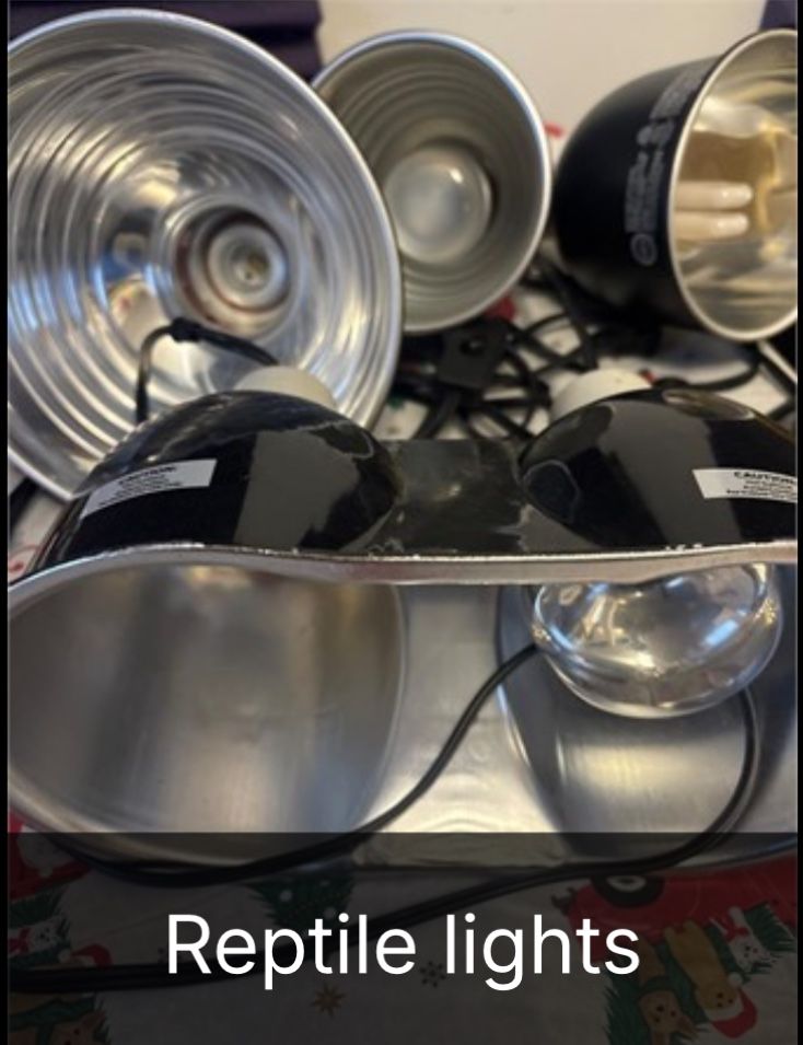 Reptile Lights Various