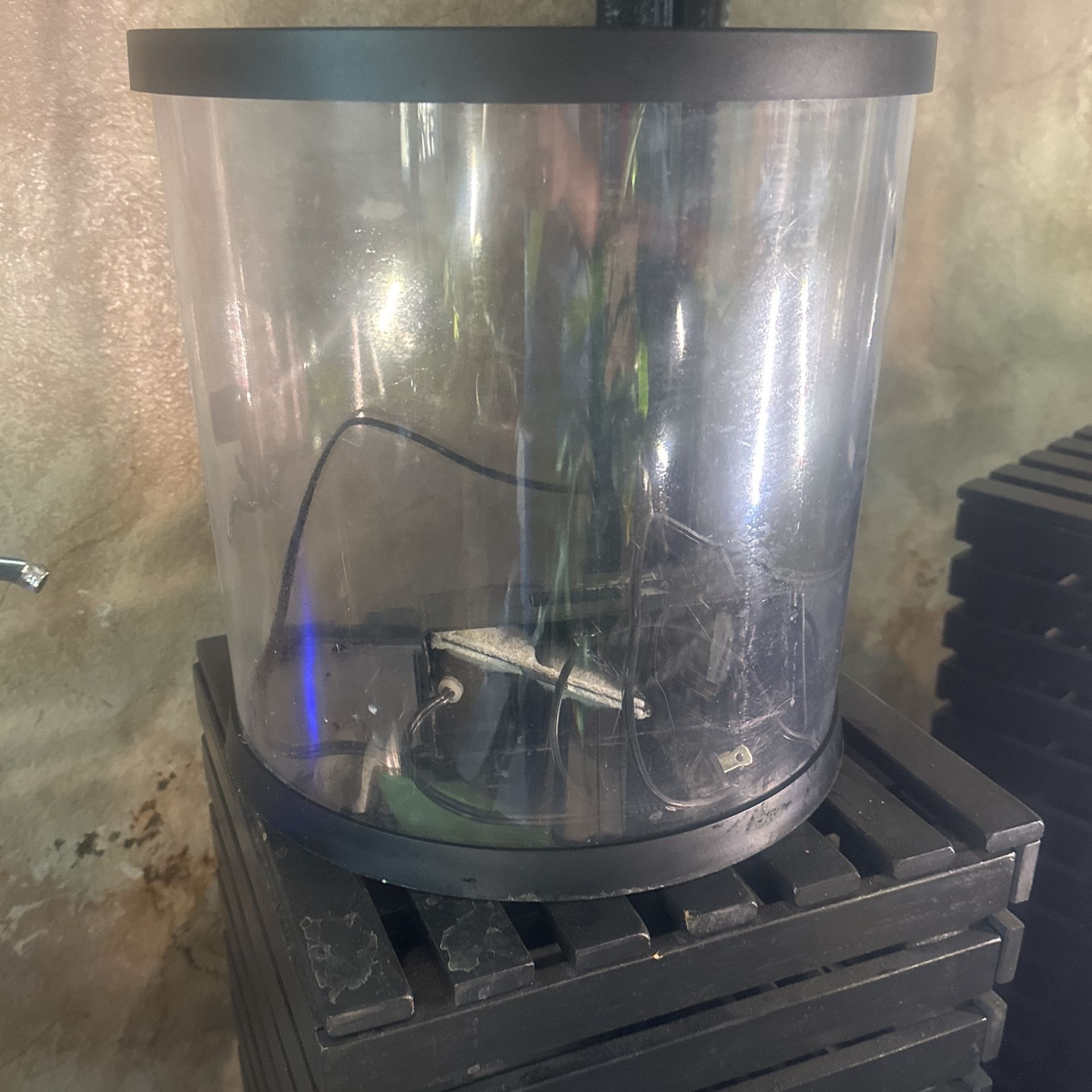 Fish Tank