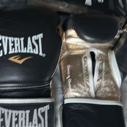 Everlast Boxing Gloves 