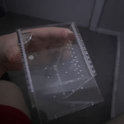 Tarantula sling/ jumping spider acrylic exlouser