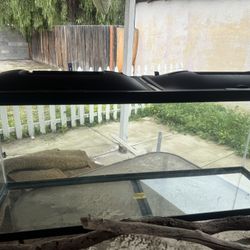Long Fish Tank