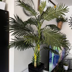 Artificial Plant. About 45” Tall 